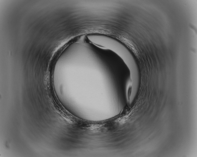 X0000094380388200711301405