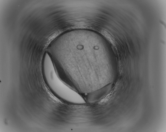 X0000094380389200711301405
