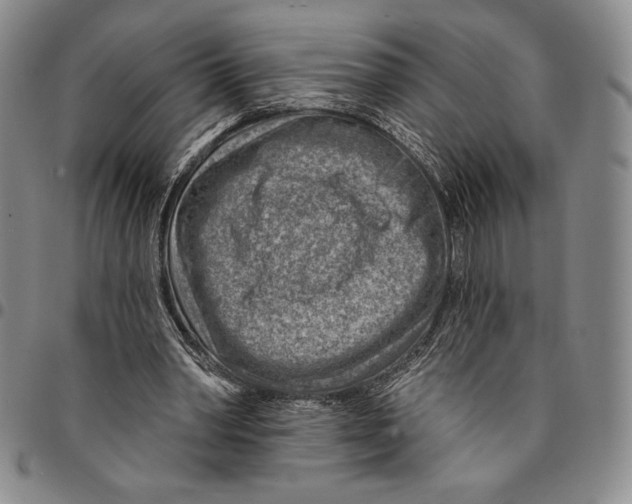 X0000094380390200711301405