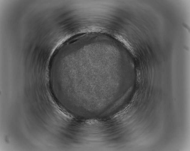 X0000094380392200711301405