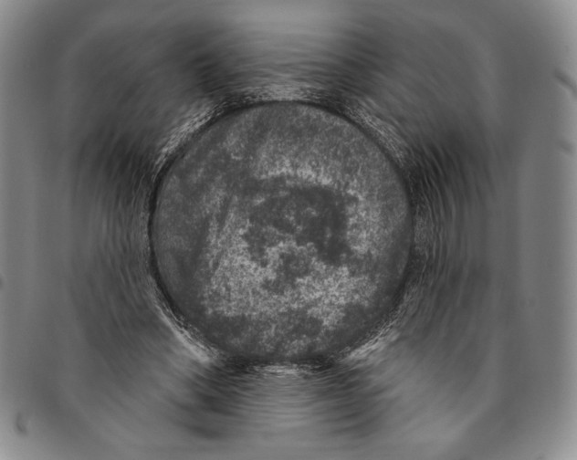 X0000094380394200711301405
