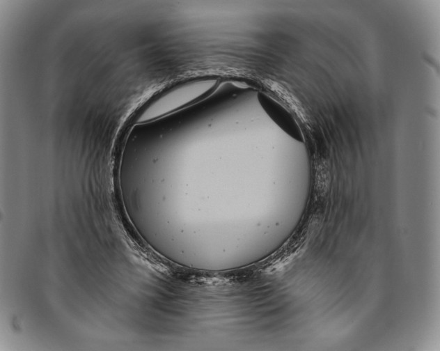 X0000094380395200711301405