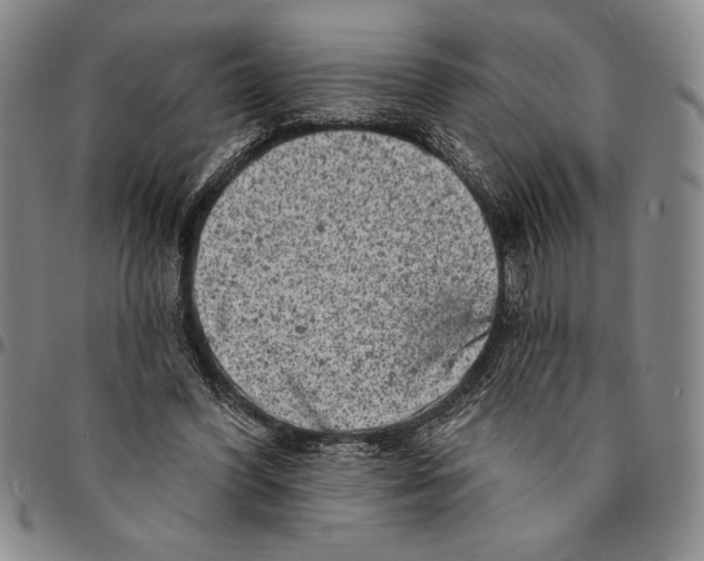 X0000094380396200711301405