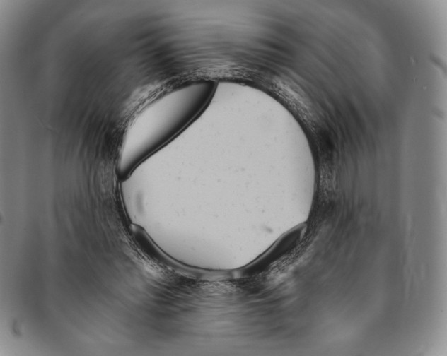 X0000094380397200711301405