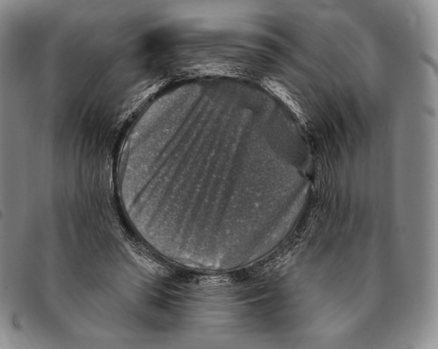 X0000094380398200711301405