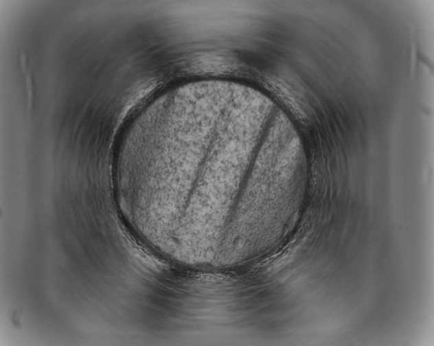 X0000094380399200711301405