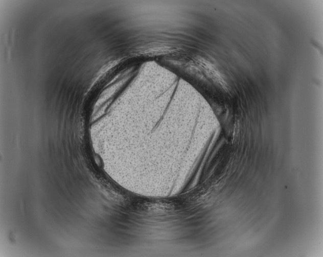X0000094380400200711301405