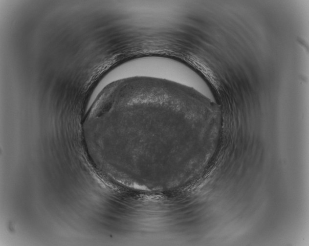 X0000094380401200711301405
