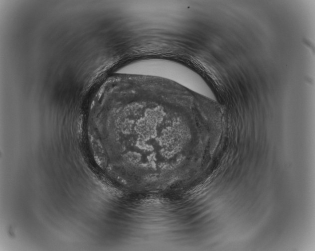 X0000094380404200711301405