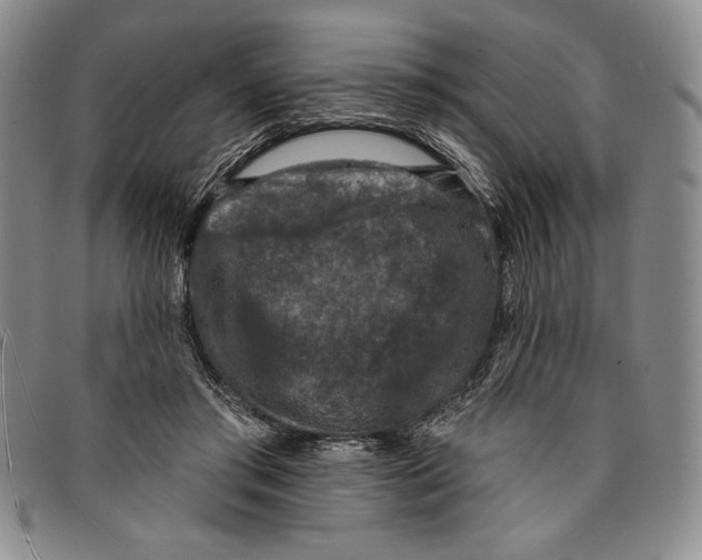 X0000094380405200711301405