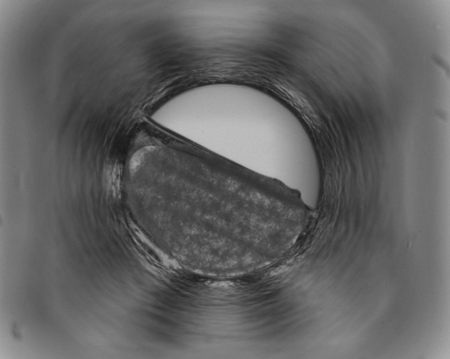 X0000094380409200711301405