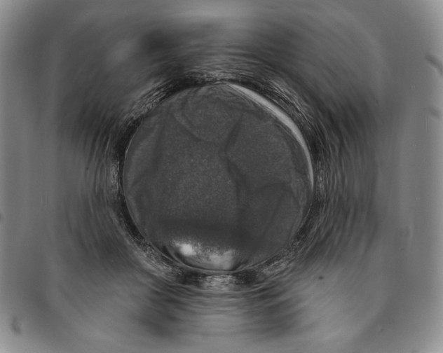 X0000094380410200711301405