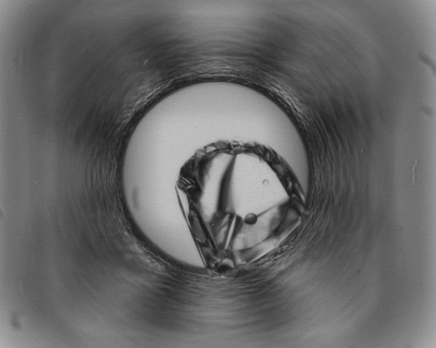 X0000094380411200711301405