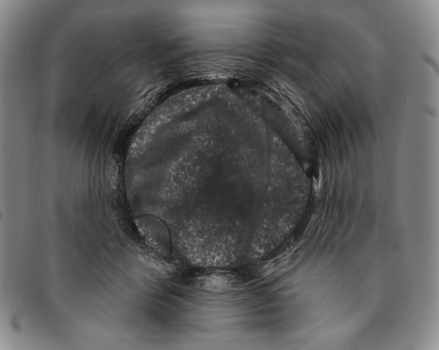 X0000094380412200711301405