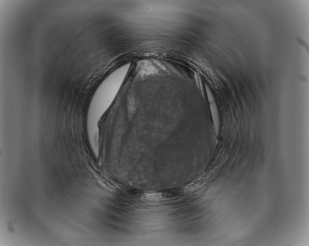 X0000094380413200711301405