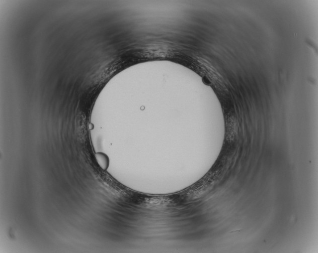 X0000094380414200711301405