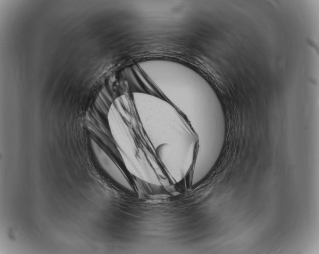 X0000094380415200711301405