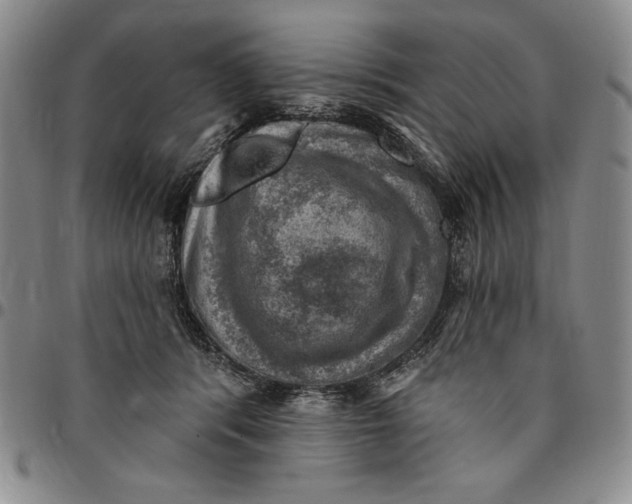 X0000094380416200711301405