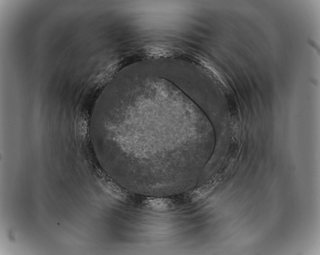 X0000094380417200711301405