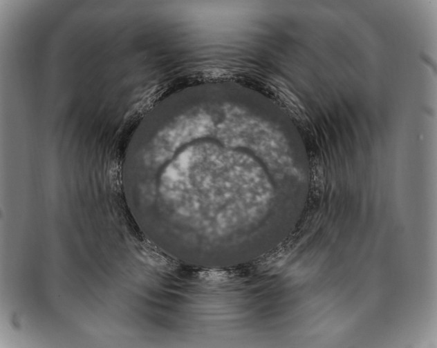 X0000094380419200711301405