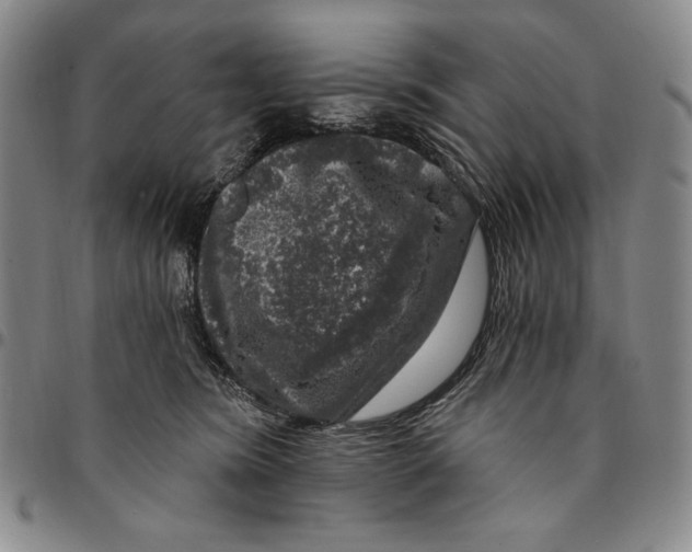 X0000094380420200711301405
