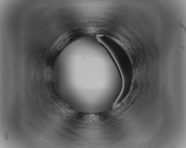 X0000094380421200711301405