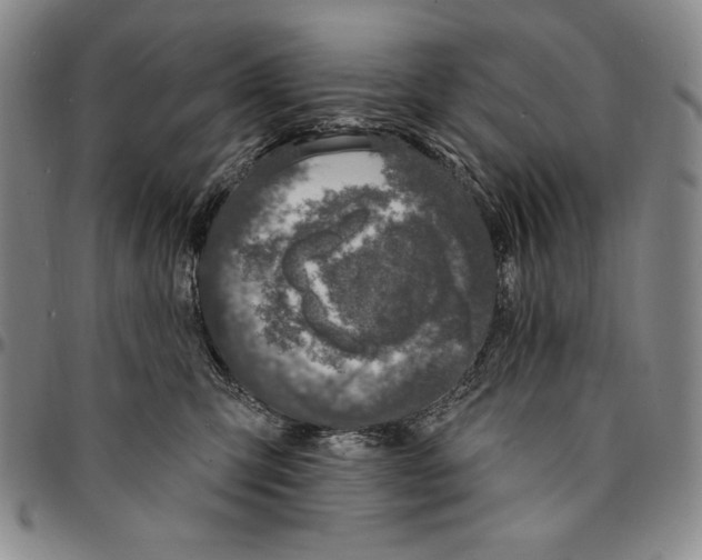 X0000094380423200711301404