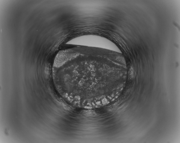 X0000094380424200711301404