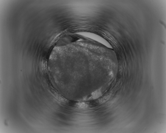 X0000094380425200711301404