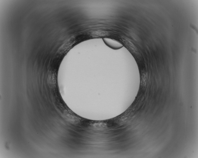 X0000094380426200711301404
