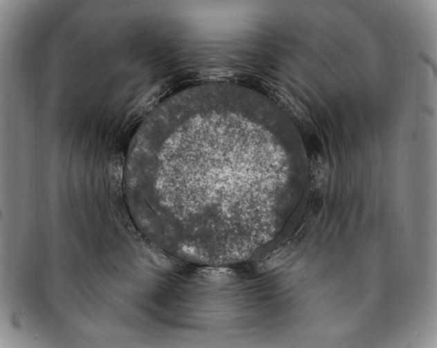 X0000094380427200711301404