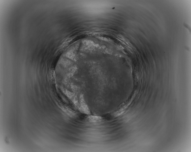 X0000094380429200711301404