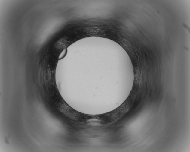 X0000094380430200711301404