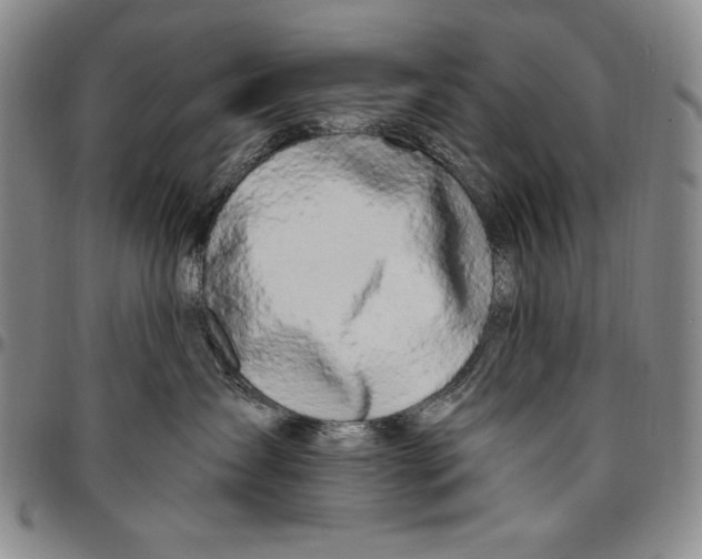 X0000094380431200711301404