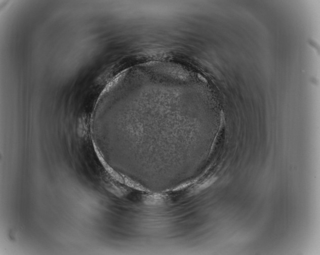 X0000094380432200711301404