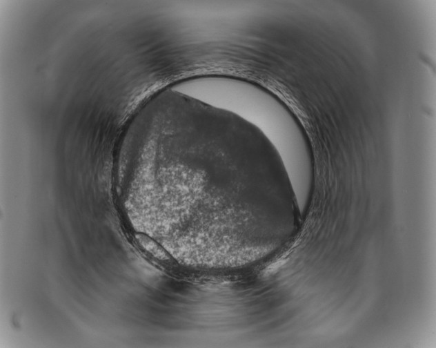 X0000094380434200711301404