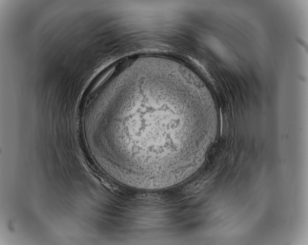 X0000094380435200711301404