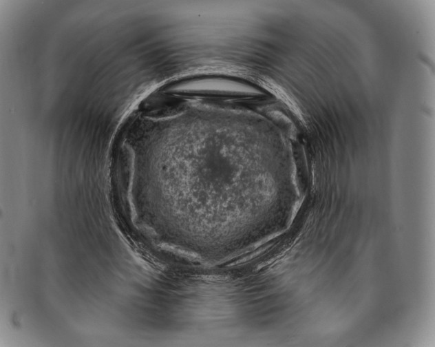 X0000094380436200711301404