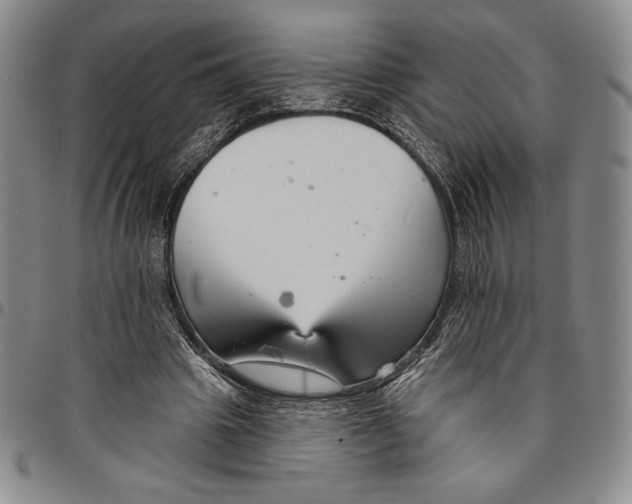 X0000094380441200711301404