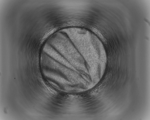X0000094380442200711301404