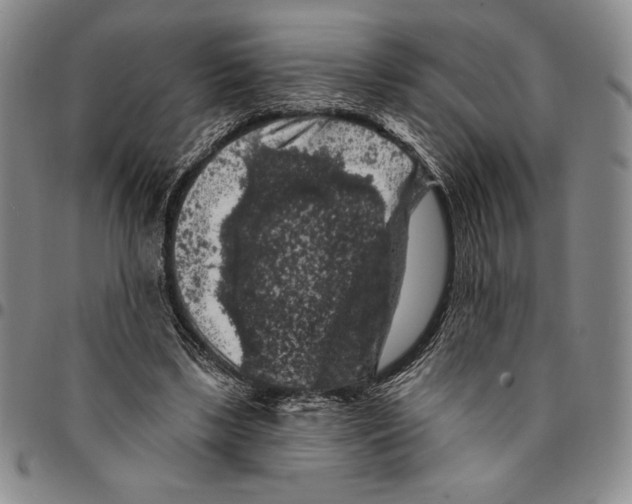X0000094380443200711301404