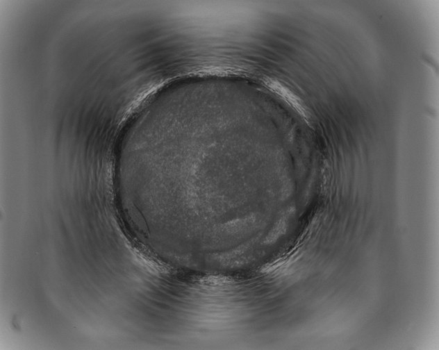 X0000094380444200711301404