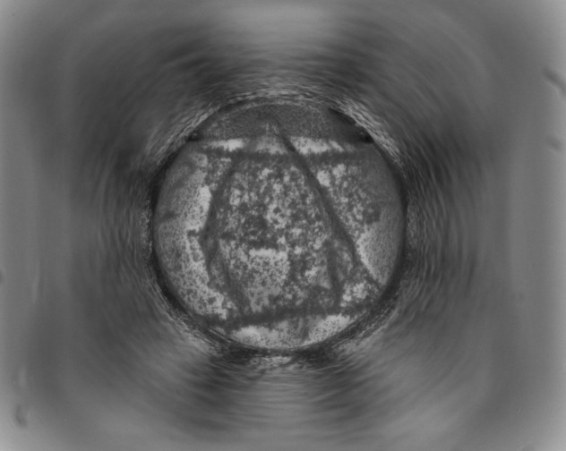 X0000094380449200711301404