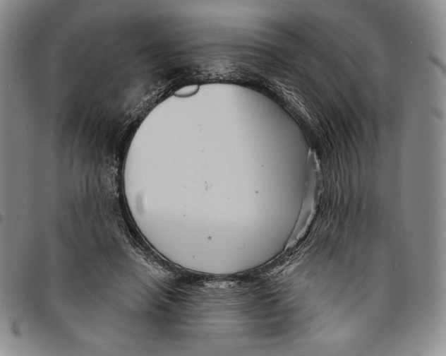 X0000094380450200711301404