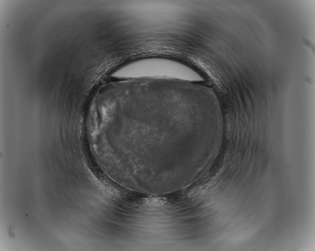 X0000094380451200711301404