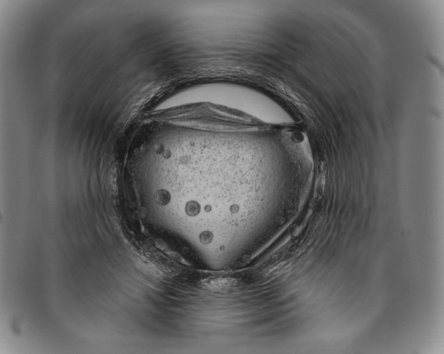 X0000094380452200711301404