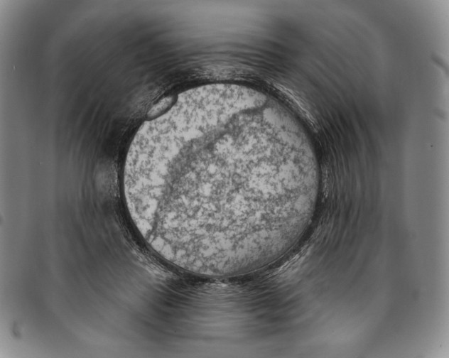 X0000094380453200711301404