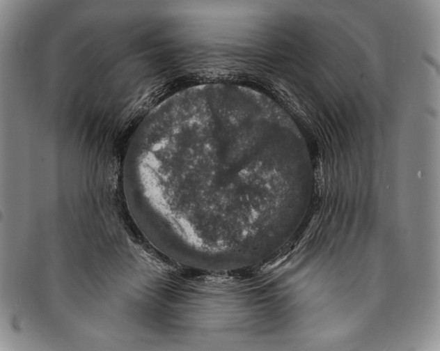 X0000094380458200711301404