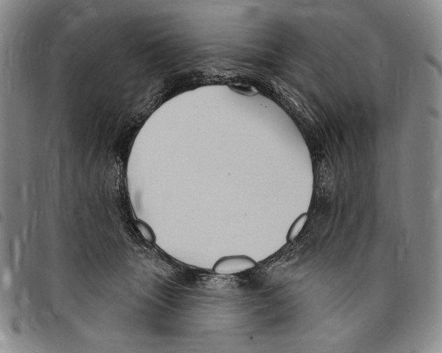 X0000094380463200711301404