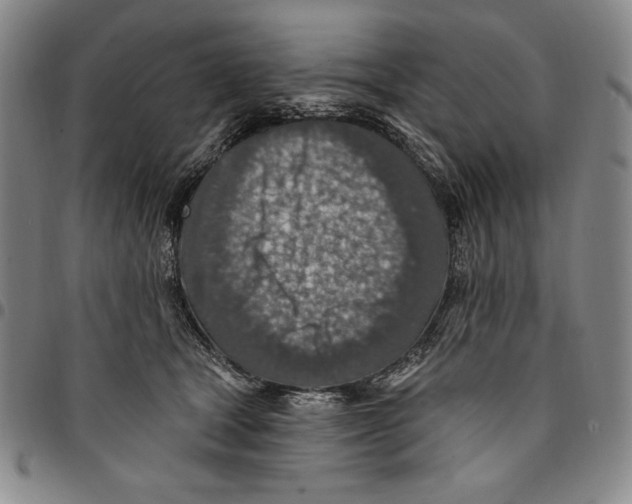 X0000094380465200711301404